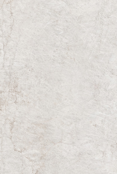 奢·巴塔哥尼亚白